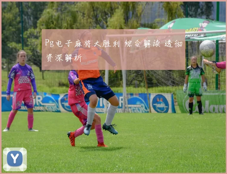 Pg电子麻将大胜利 综合解读 透彻资深解析