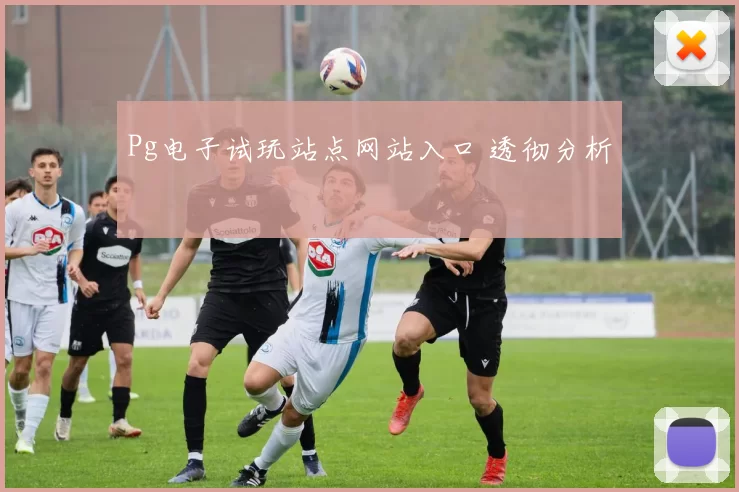 Pg电子试玩站点网站入口 透彻分析