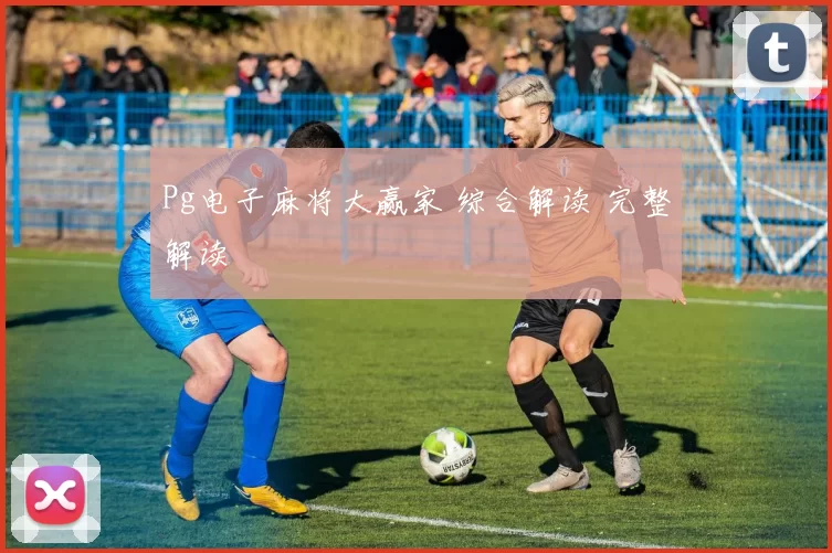 Pg电子麻将大赢家 综合解读 完整解读